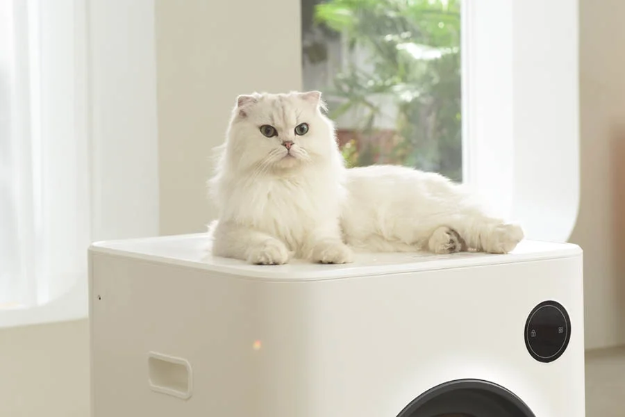 electric cat litter